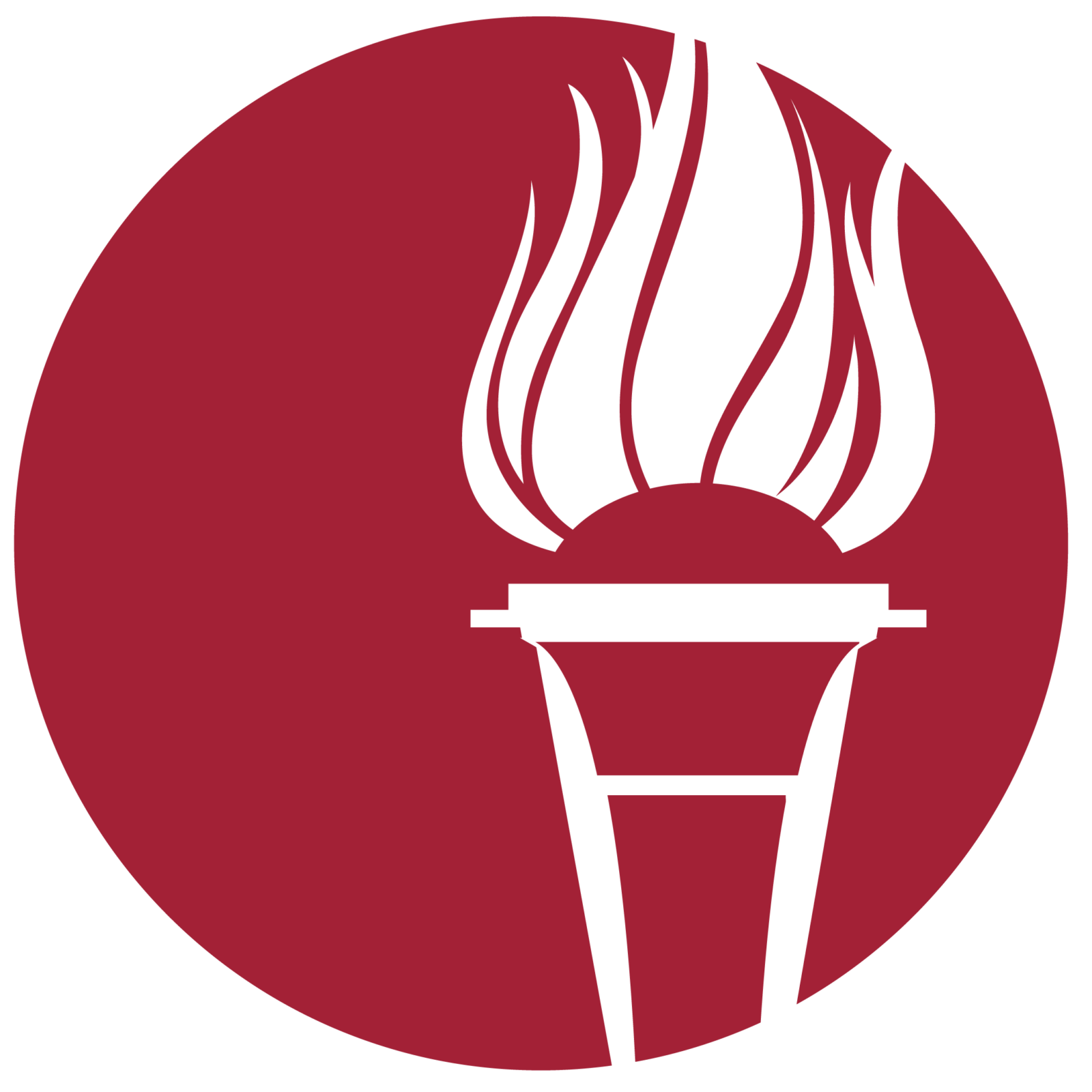 torch logo